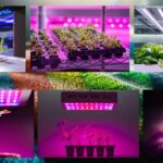 led strip lights to grow plants