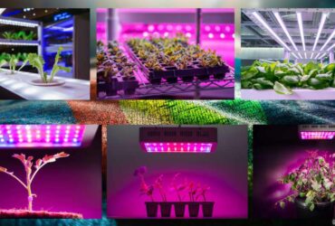 led strip lights to grow plants